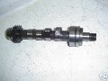 Engine camshaft and followers and pushrods, Moto Guzzi photo archive of parts